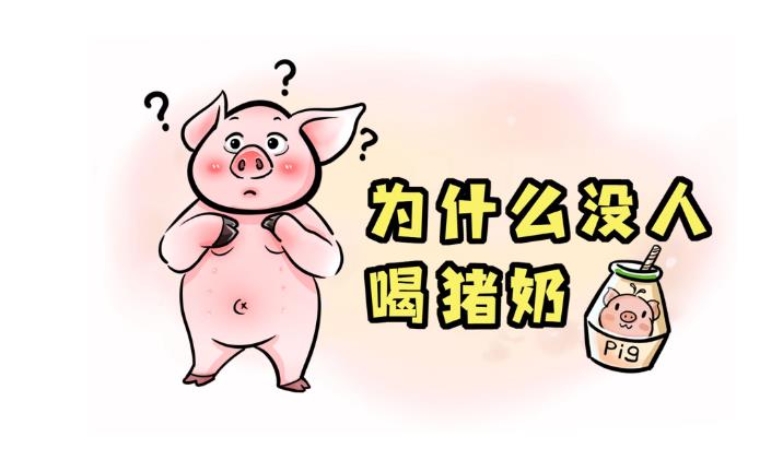 猪奶为什么没人喝？ - 梦享社